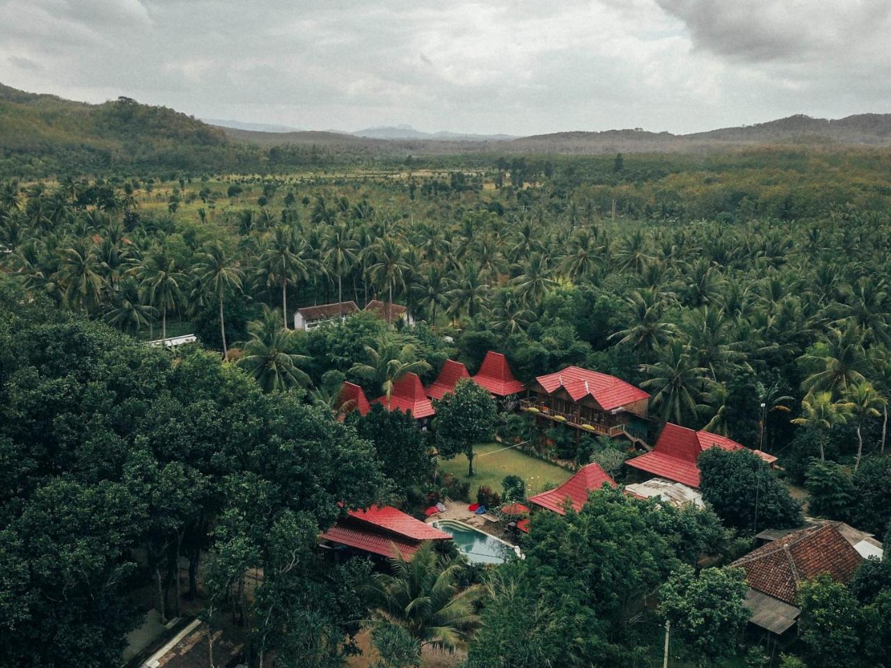 Mojosurf Camp Red Island Hotel Pasanggaran Luaran gambar